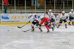 Deutsche Frauen Eishockey Bundesliga - ESC Planegg vs. Eisbären Juniors Berlin am 22.02.2020 in Grafing, Eissporthalle des EHC Klostersee, Deutschland, Photo: Michael Kahms @MIKAH-Fotografie.de