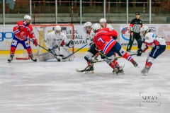 Deutsche Frauen Eishockey Bundesliga - ESC Planegg vs. Eisbären Juniors Berlin am 22.02.2020 in Grafing, Eissporthalle des EHC Klostersee, Deutschland, Photo: Michael Kahms @MIKAH-Fotografie.de