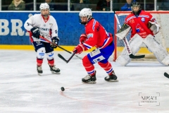Deutsche Frauen Eishockey Bundesliga - ESC Planegg vs. Eisbären Juniors Berlin am 22.02.2020 in Grafing, Eissporthalle des EHC Klostersee, Deutschland, Photo: Michael Kahms @MIKAH-Fotografie.de