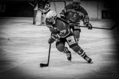 Deutsche Frauen Eishockey Bundesliga - ESC Planegg vs. Eisbären Juniors Berlin am 22.02.2020 in Grafing, Eissporthalle des EHC Klostersee, Deutschland, Photo: Michael Kahms @MIKAH-Fotografie.de