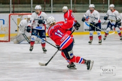 Deutsche Frauen Eishockey Bundesliga - ESC Planegg vs. Eisbären Juniors Berlin am 22.02.2020 in Grafing, Eissporthalle des EHC Klostersee, Deutschland, Photo: Michael Kahms @MIKAH-Fotografie.de