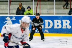 Deutsche Frauen Eishockey Bundesliga - ESC Planegg vs. Eisbären Juniors Berlin am 22.02.2020 in Grafing, Eissporthalle des EHC Klostersee, Deutschland, Photo: Michael Kahms @MIKAH-Fotografie.de