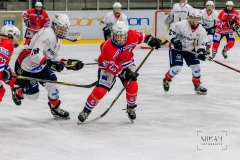 Deutsche Frauen Eishockey Bundesliga - ESC Planegg vs. Eisbären Juniors Berlin am 22.02.2020 in Grafing, Eissporthalle des EHC Klostersee, Deutschland, Photo: Michael Kahms @MIKAH-Fotografie.de