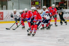 Deutsche Frauen Eishockey Bundesliga - ESC Planegg vs. Eisbären Juniors Berlin am 22.02.2020 in Grafing, Eissporthalle des EHC Klostersee, Deutschland, Photo: Michael Kahms @MIKAH-Fotografie.de