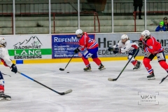 Deutsche Frauen Eishockey Bundesliga - ESC Planegg vs. Eisbären Juniors Berlin am 22.02.2020 in Grafing, Eissporthalle des EHC Klostersee, Deutschland, Photo: Michael Kahms @MIKAH-Fotografie.de
