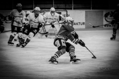 Deutsche Frauen Eishockey Bundesliga - ESC Planegg vs. Eisbären Juniors Berlin am 22.02.2020 in Grafing, Eissporthalle des EHC Klostersee, Deutschland, Photo: Michael Kahms @MIKAH-Fotografie.de