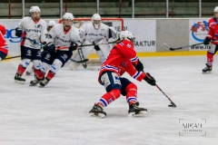 Deutsche Frauen Eishockey Bundesliga - ESC Planegg vs. Eisbären Juniors Berlin am 22.02.2020 in Grafing, Eissporthalle des EHC Klostersee, Deutschland, Photo: Michael Kahms @MIKAH-Fotografie.de