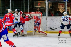 Deutsche Frauen Eishockey Bundesliga - ESC Planegg vs. Eisbären Juniors Berlin am 22.02.2020 in Grafing, Eissporthalle des EHC Klostersee, Deutschland, Photo: Michael Kahms @MIKAH-Fotografie.de