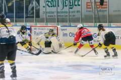 Deutsche Frauen Eishockey Bundesliga - ESC Planegg vs. Mad Dogs Mannheim am 03.01.2021 in Miesbach, Eisstadion TEV Miesbach, Tölzer Straße 3 83714 Miesbach, Deutschland, Photo: Michael Kahms @MIKAH-Fotografie.de