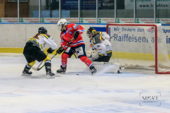 Deutsche Frauen Eishockey Bundesliga - ESC Planegg vs. Mad Dogs Mannheim am 03.01.2021 in Miesbach, Eisstadion TEV Miesbach, Tölzer Straße 3 83714 Miesbach, Deutschland, Photo: Michael Kahms @MIKAH-Fotografie.de