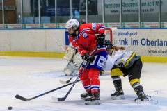Deutsche Frauen Eishockey Bundesliga - ESC Planegg vs. Mad Dogs Mannheim am 03.01.2021 in Miesbach, Eisstadion TEV Miesbach, Tölzer Straße 3 83714 Miesbach, Deutschland, Photo: Michael Kahms @MIKAH-Fotografie.de