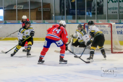Deutsche Frauen Eishockey Bundesliga - ESC Planegg vs. Mad Dogs Mannheim am 03.01.2021 in Miesbach, Eisstadion TEV Miesbach, Tölzer Straße 3 83714 Miesbach, Deutschland, Photo: Michael Kahms @MIKAH-Fotografie.de