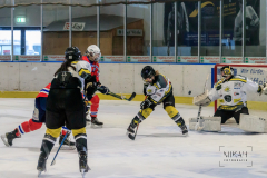 Deutsche Frauen Eishockey Bundesliga - ESC Planegg vs. Mad Dogs Mannheim am 03.01.2021 in Miesbach, Eisstadion TEV Miesbach, Tölzer Straße 3 83714 Miesbach, Deutschland, Photo: Michael Kahms @MIKAH-Fotografie.de