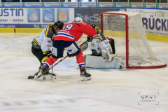 Deutsche Frauen Eishockey Bundesliga - ESC Planegg vs. Mad Dogs Mannheim am 03.01.2021 in Miesbach, Eisstadion TEV Miesbach, Tölzer Straße 3 83714 Miesbach, Deutschland, Photo: Michael Kahms @MIKAH-Fotografie.de