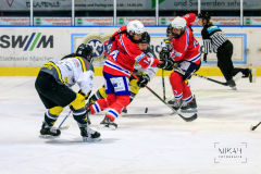 Deutsche Frauen Eishockey Bundesliga - ESC Planegg vs. Mad Dogs Mannheim am 03.01.2021 in Miesbach, Eisstadion TEV Miesbach, Tölzer Straße 3 83714 Miesbach, Deutschland, Photo: Michael Kahms @MIKAH-Fotografie.de