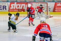 Deutsche Frauen Eishockey Bundesliga - ESC Planegg vs. Mad Dogs Mannheim am 03.01.2021 in Miesbach, Eisstadion TEV Miesbach, Tölzer Straße 3 83714 Miesbach, Deutschland, Photo: Michael Kahms @MIKAH-Fotografie.de