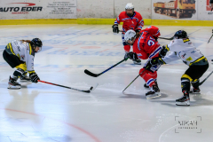 Deutsche Frauen Eishockey Bundesliga - ESC Planegg vs. Mad Dogs Mannheim am 03.01.2021 in Miesbach, Eisstadion TEV Miesbach, Tölzer Straße 3 83714 Miesbach, Deutschland, Photo: Michael Kahms @MIKAH-Fotografie.de