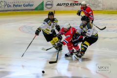 Deutsche Frauen Eishockey Bundesliga - ESC Planegg vs. Mad Dogs Mannheim am 03.01.2021 in Miesbach, Eisstadion TEV Miesbach, Tölzer Straße 3 83714 Miesbach, Deutschland, Photo: Michael Kahms @MIKAH-Fotografie.de