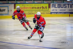 Deutsche Frauen Eishockey Bundesliga - ESC Planegg vs. Mad Dogs Mannheim am 03.01.2021 in Miesbach, Eisstadion TEV Miesbach, Tölzer Straße 3 83714 Miesbach, Deutschland, Photo: Michael Kahms @MIKAH-Fotografie.de