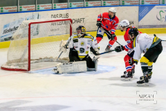 Deutsche Frauen Eishockey Bundesliga - ESC Planegg vs. Mad Dogs Mannheim am 03.01.2021 in Miesbach, Eisstadion TEV Miesbach, Tölzer Straße 3 83714 Miesbach, Deutschland, Photo: Michael Kahms @MIKAH-Fotografie.de
