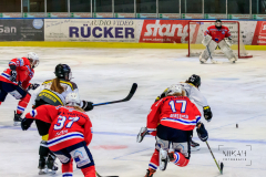 Deutsche Frauen Eishockey Bundesliga - ESC Planegg vs. Mad Dogs Mannheim am 03.01.2021 in Miesbach, Eisstadion TEV Miesbach, Tölzer Straße 3 83714 Miesbach, Deutschland, Photo: Michael Kahms @MIKAH-Fotografie.de