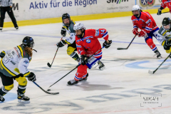 Deutsche Frauen Eishockey Bundesliga - ESC Planegg vs. Mad Dogs Mannheim am 03.01.2021 in Miesbach, Eisstadion TEV Miesbach, Tölzer Straße 3 83714 Miesbach, Deutschland, Photo: Michael Kahms @MIKAH-Fotografie.de