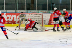 Deutsche Frauen Eishockey Bundesliga - ESC Planegg vs. Mad Dogs Mannheim am 03.01.2021 in Miesbach, Eisstadion TEV Miesbach, Tölzer Straße 3 83714 Miesbach, Deutschland, Photo: Michael Kahms @MIKAH-Fotografie.de