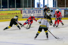 Deutsche Frauen Eishockey Bundesliga - ESC Planegg vs. Mad Dogs Mannheim am 03.01.2021 in Miesbach, Eisstadion TEV Miesbach, Tölzer Straße 3 83714 Miesbach, Deutschland, Photo: Michael Kahms @MIKAH-Fotografie.de