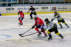 Deutsche Frauen Eishockey Bundesliga - ESC Planegg vs. Mad Dogs Mannheim am 03.01.2021 in Miesbach, Eisstadion TEV Miesbach, Tölzer Straße 3 83714 Miesbach, Deutschland, Photo: Michael Kahms @MIKAH-Fotografie.de