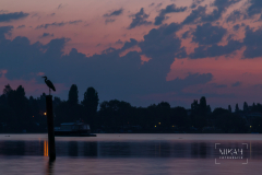 IMG_4657_Sonnenaufgagng_Immenstaad_2021-08-15