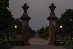 IMG_6011_Moritzburg_Sonnenaufgang_2020-08-12