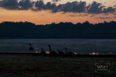 IMG_6024_Moritzburg_Sonnenaufgang_2020-08-12