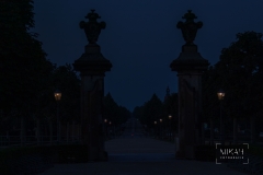 IMG_6010_Moritzburg_Sonnenaufgang_2020-08-12