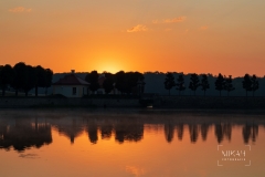 IMG_6063_Moritzburg_Sonnenaufgang_2020-08-12