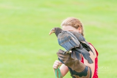 IMG_6550_Vogelpark_Marlow_2020-08-18